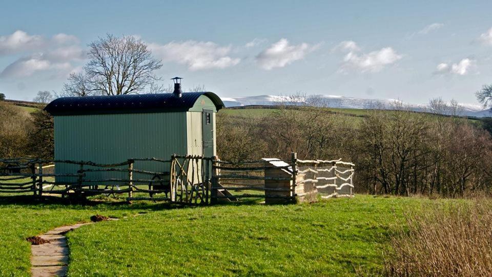 Campsite Cefnmachllys Shepherds Huts